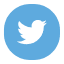 Twitter Video Downloader Free Online